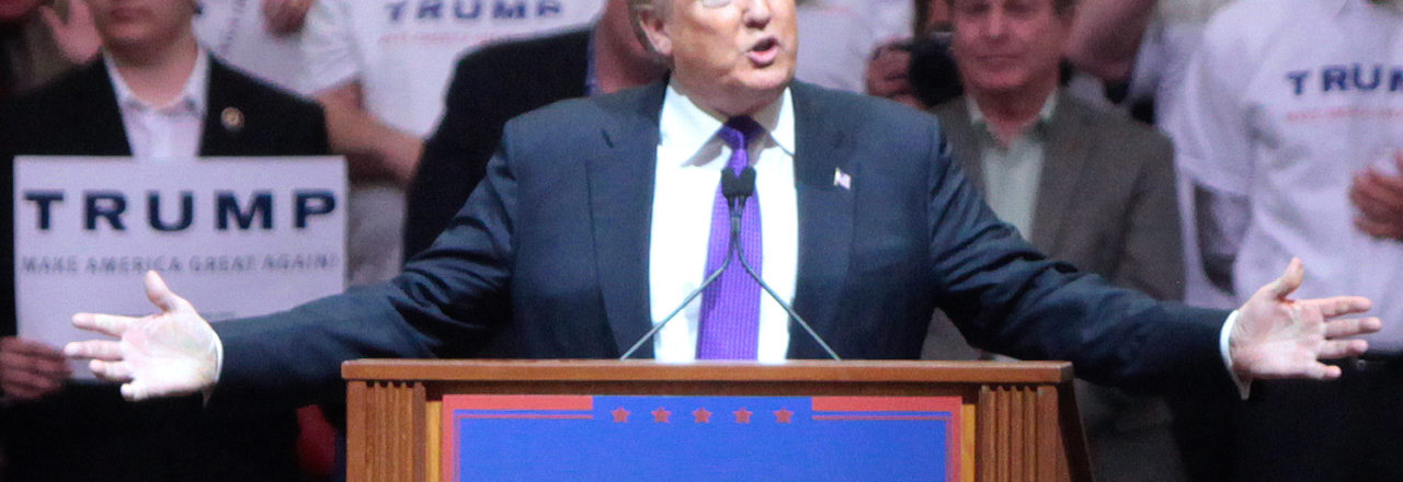 Donald Trump (Source: Flickr - gageskidmore)