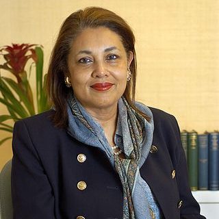 Hon. Shirin Tahir-Kheli