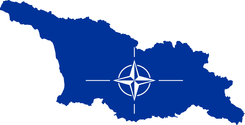 Georgia’s NATO Aspirations: Rhetoric and Reality