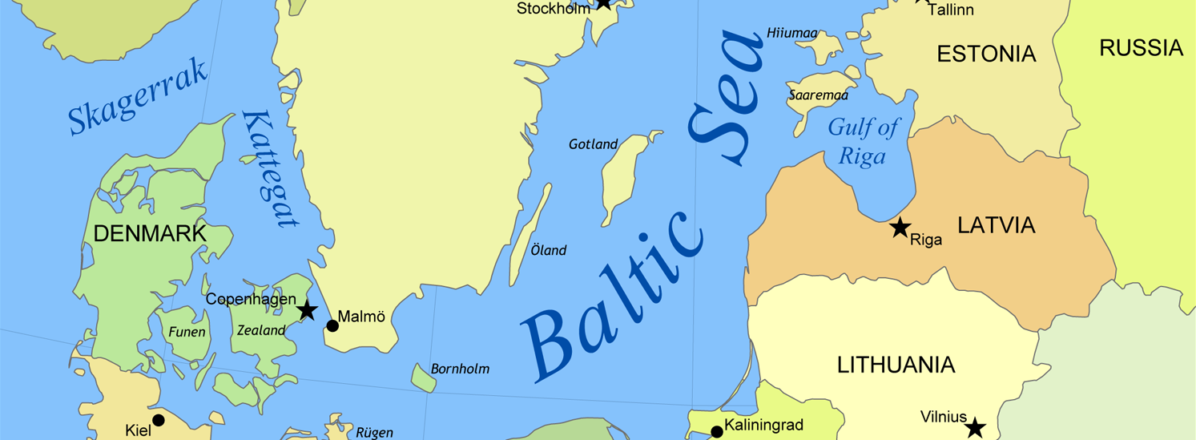 Fighting Disinformation in the Baltic States