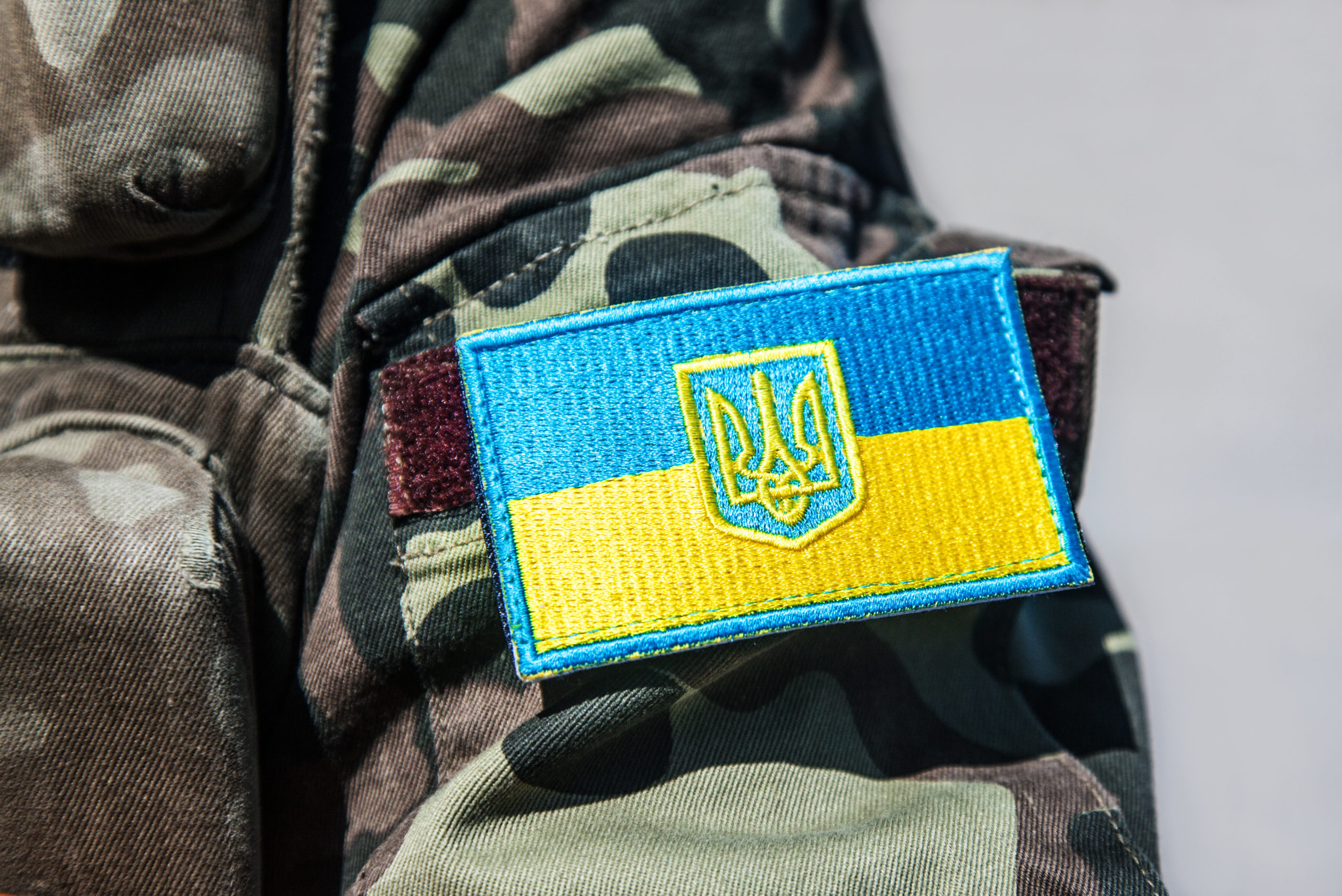 The Ukrainian Military: From Degradation to Renewal