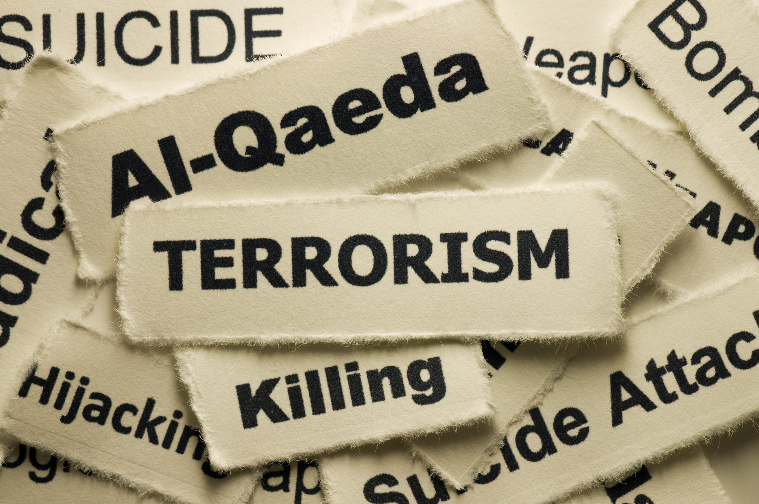 How Terrorist Groups Learn: Implications for al-Qaeda