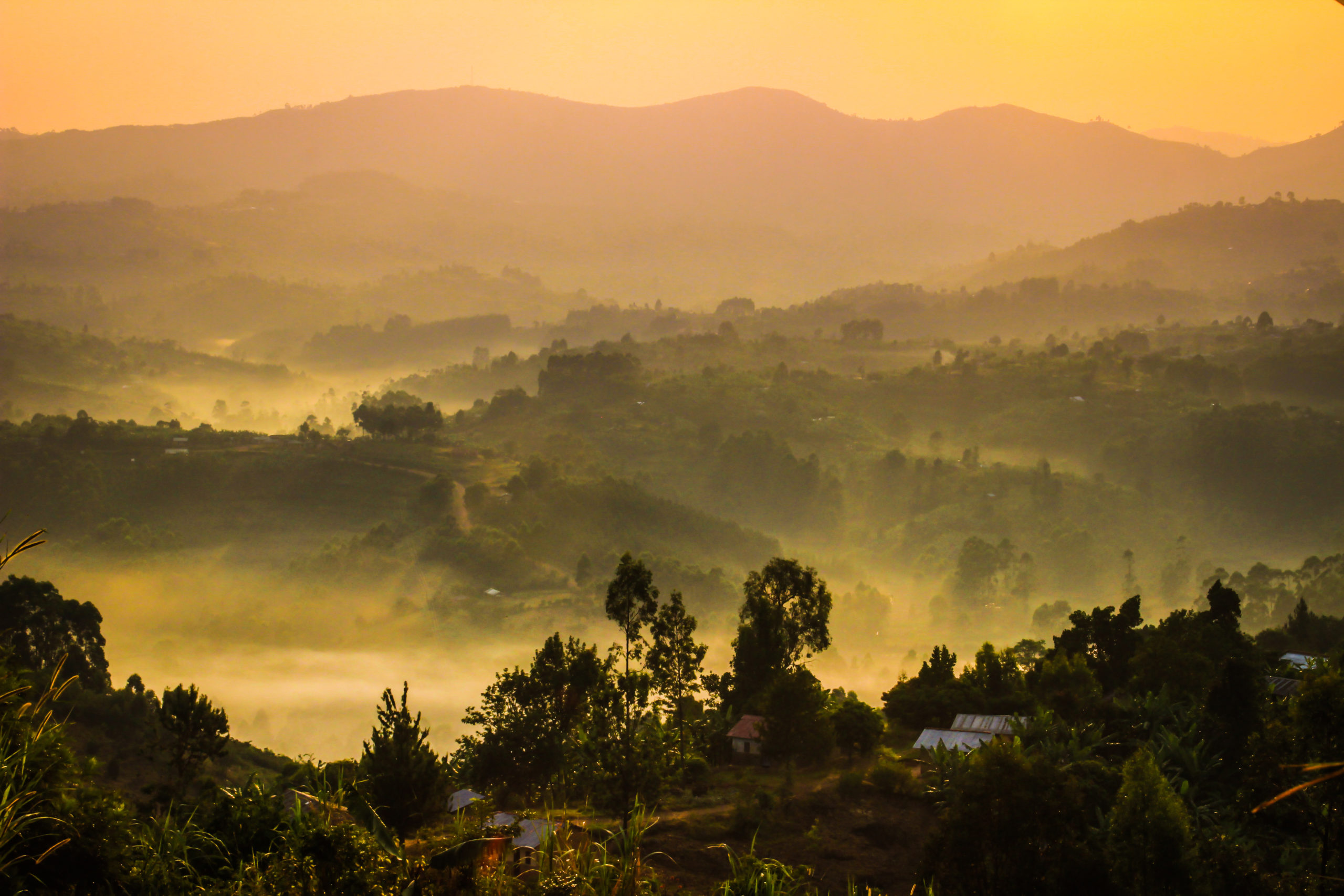 The Congo Rainforest and Prospects for the Next Pandemic