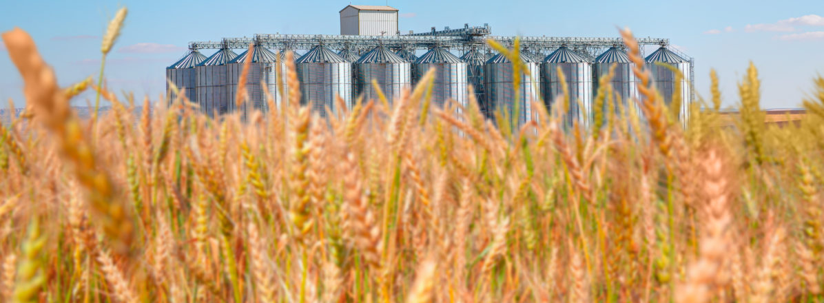 The Baltics Predicted the Suspension of the Ukraine Grain Deal — and Contributed to its Resumption