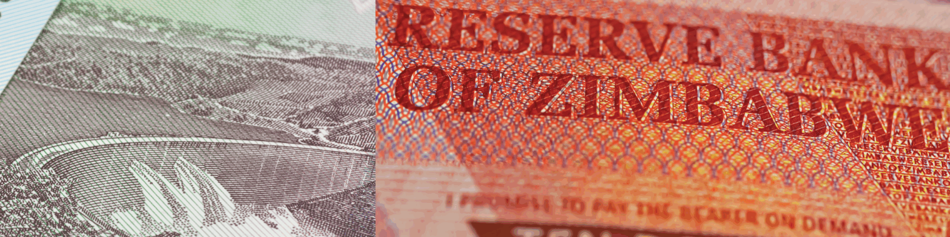 Navigating Turbulent Waters: Does Zimbabwe Have a Future?