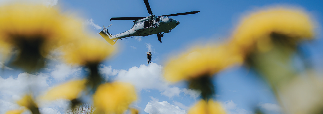 Baltic Training Grounds and NATO Forward Presence