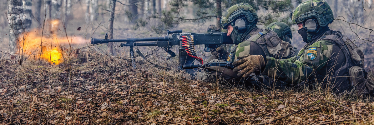 Sweden’s Role in Baltic Defense